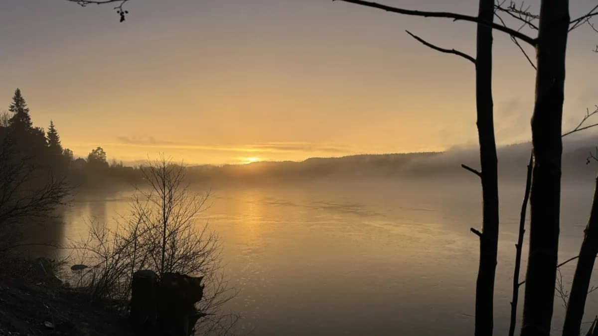 Soloppgang over Venneslafjorden sett fra Smeigedag Sauna Tømmerstokken i Vennesla